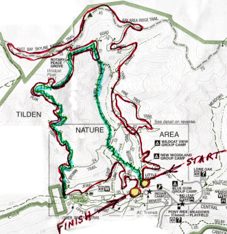 tilden3.gif