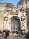 horsey-ruins2.jpg