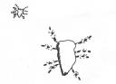 spider-ants.jpg