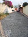 walkhome10.jpg