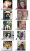 Dogs Dog Contest