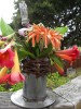 vase