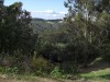 Looking Toward Central Valley from Top of Marin Avenue Looking Toward Central Valley from Top of Marin Avenue