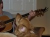 Sing-along