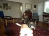 Jill, Jackson & Stella 3