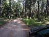 Teej on Rock Creek Road