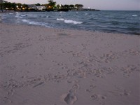 beach