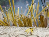 img_0888