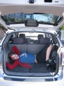 trunk trunk