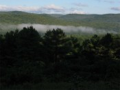mist