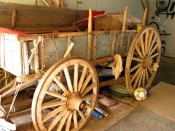 wagon