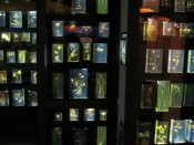 lucite