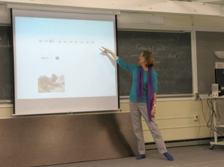phonology phonology