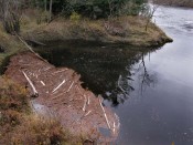 river1