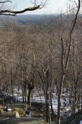 long-view long-view