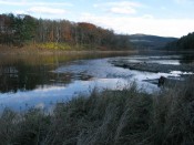 river-view river-view