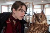 owl