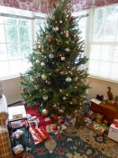 tannenbaum tannenbaum