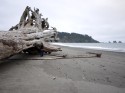 G2 at Beach, Quileute Resort