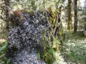 Blow-Over: Rocks & Roots