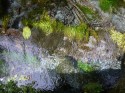 Clear Stream, Hoh
