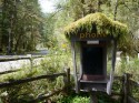 Hoh Rain Forest Visitor Center